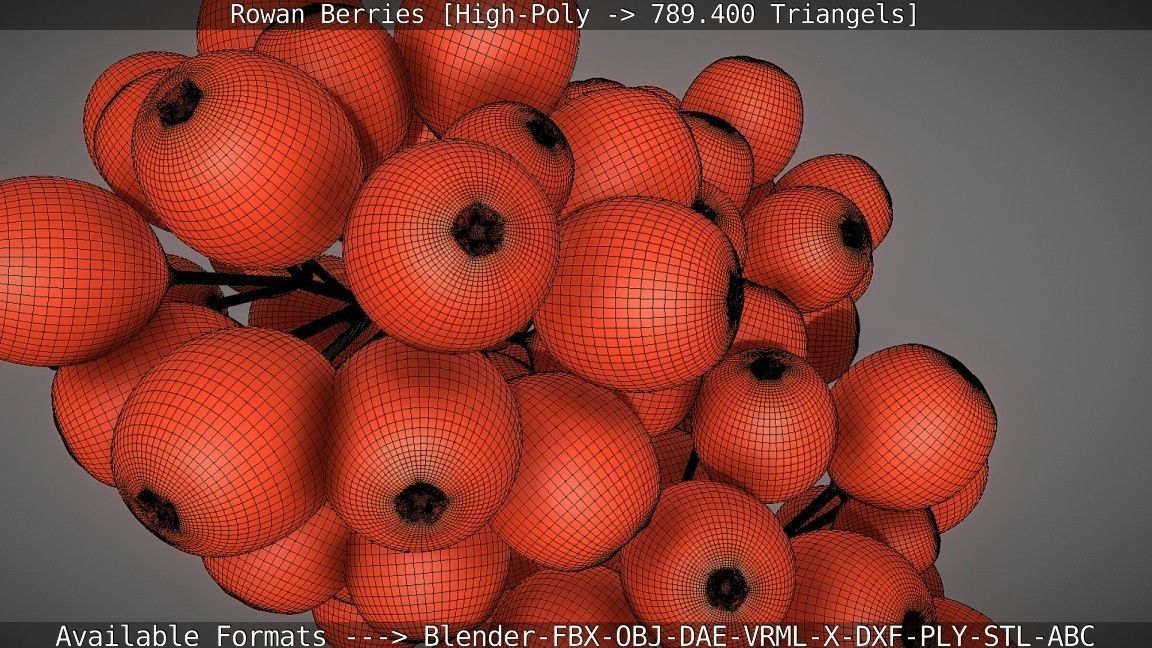 Rowan Berries High Poly 3D model_60