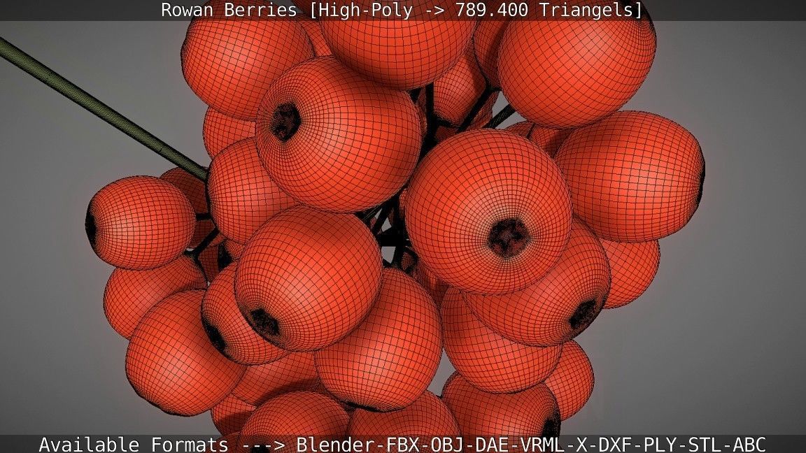 Rowan Berries High Poly 3D model_61