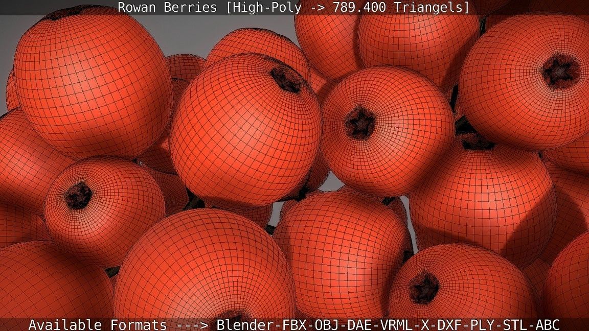 Rowan Berries High Poly 3D model_75
