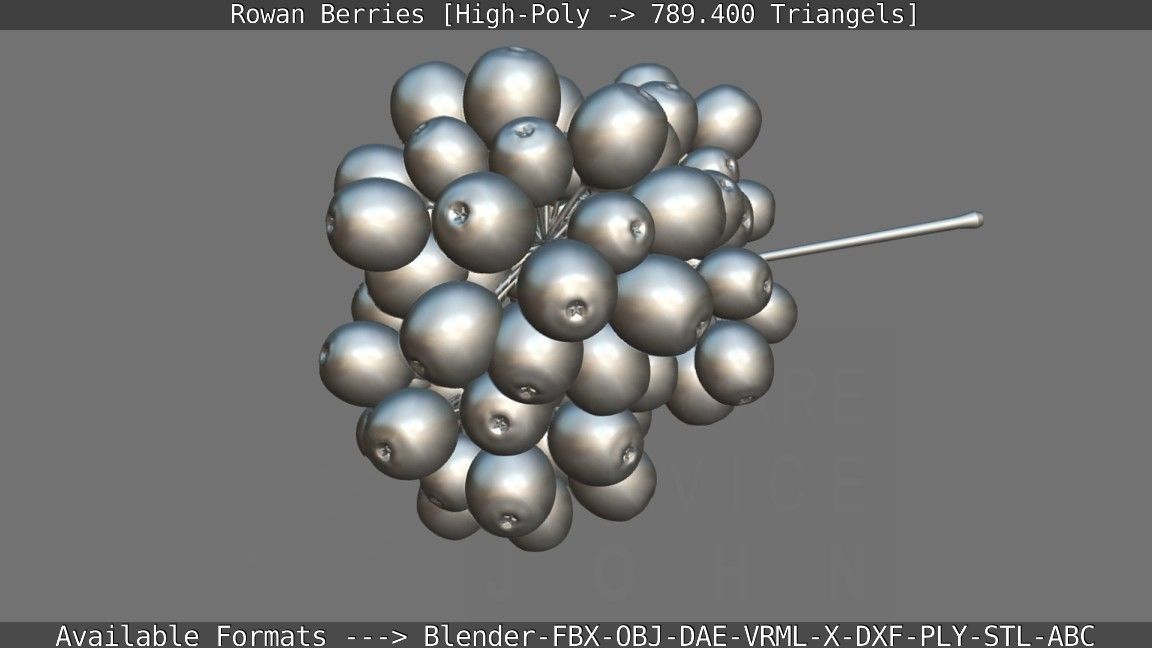 Rowan Berries High Poly 3D model_143