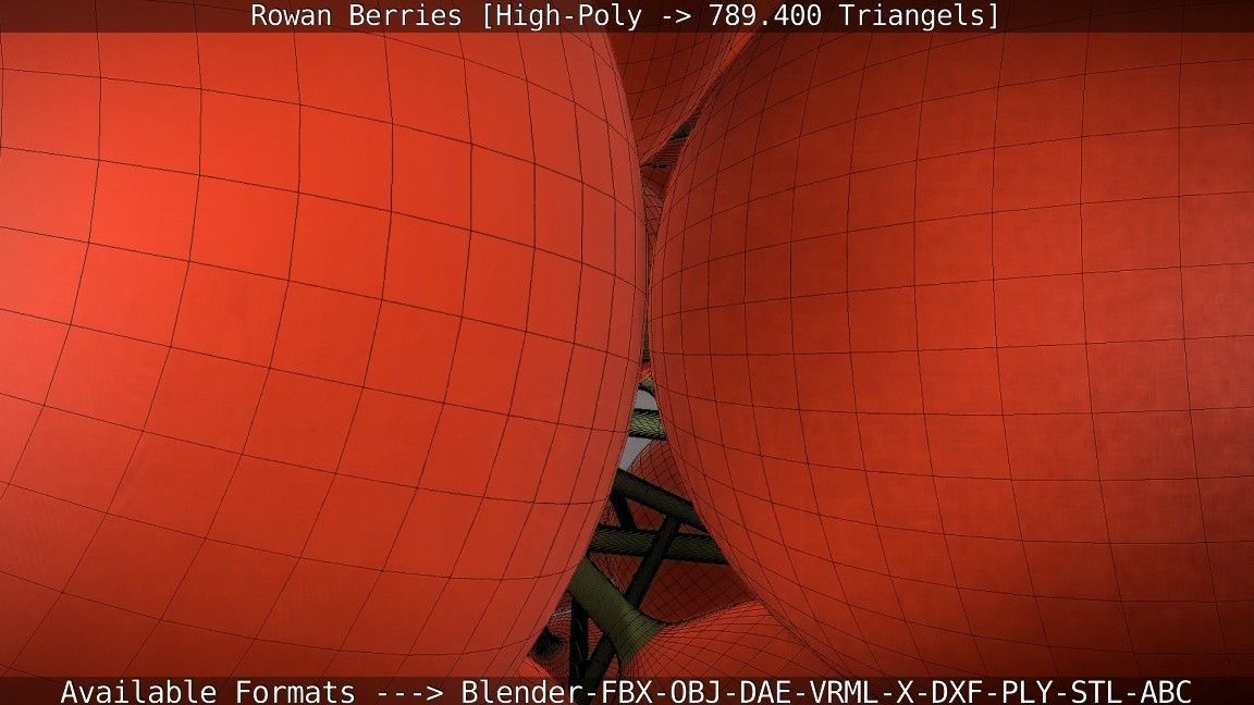 Rowan Berries High Poly 3D model_109