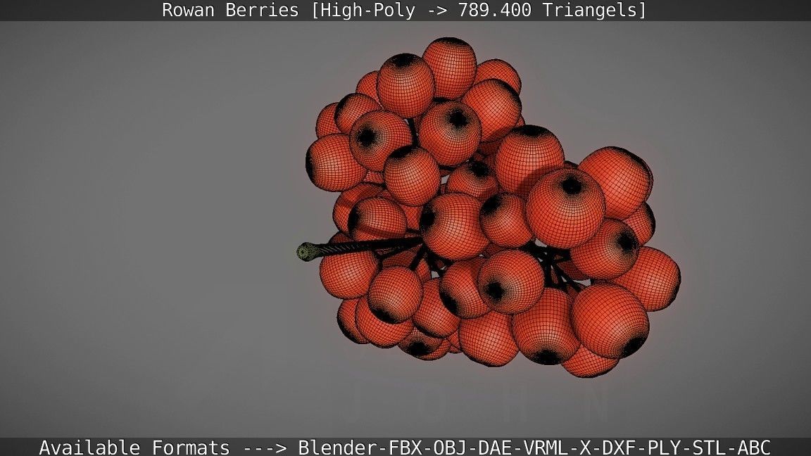 Rowan Berries High Poly 3D model_123
