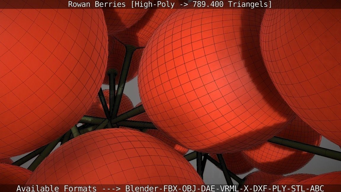 Rowan Berries High Poly 3D model_96