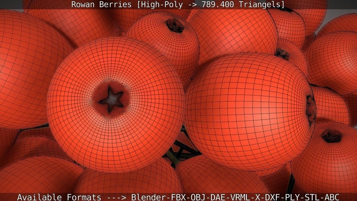 Rowan Berries High Poly 3D model_73