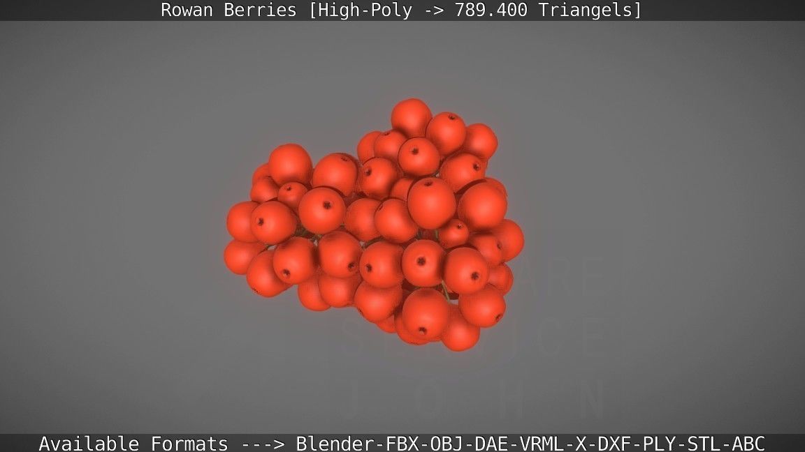 Rowan Berries High Poly 3D model_5