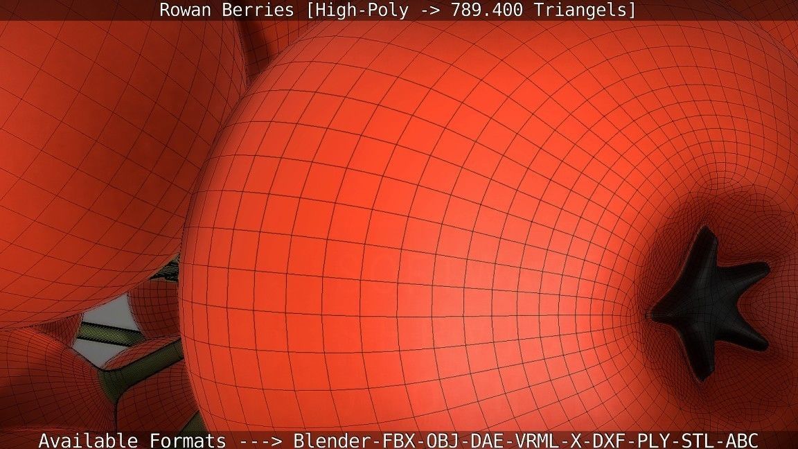 Rowan Berries High Poly 3D model_65