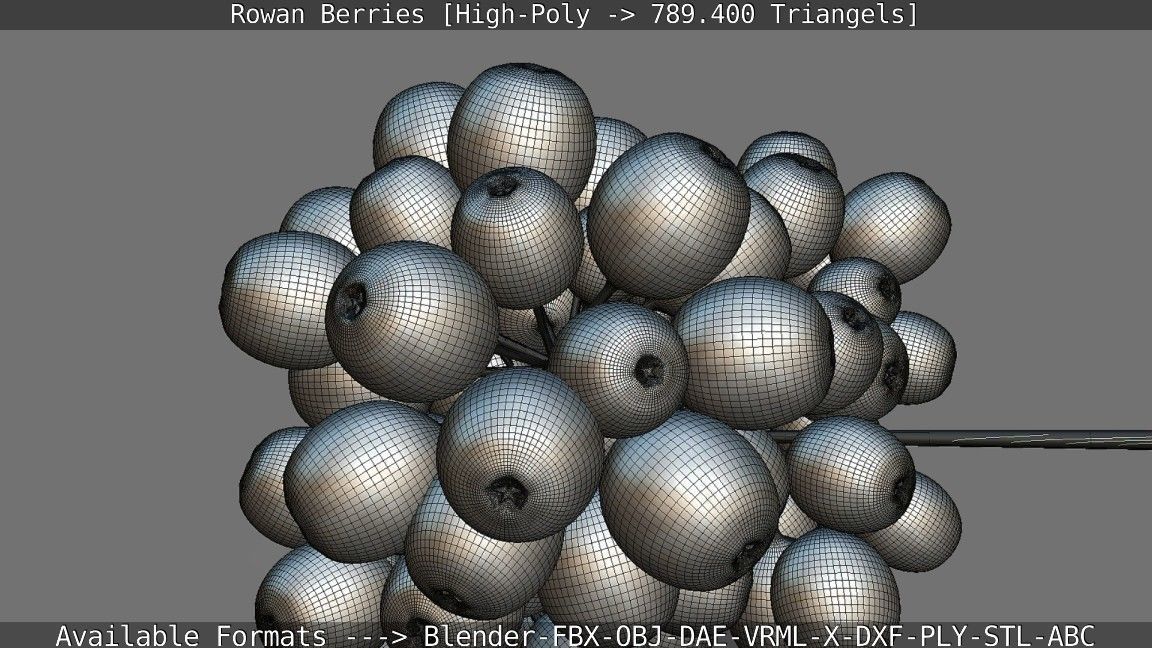 Rowan Berries High Poly 3D model_138