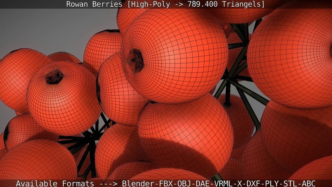 Rowan Berries High Poly 3D model_77
