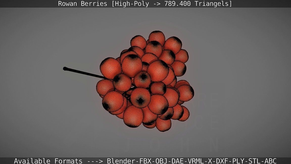 Rowan Berries High Poly 3D model_118