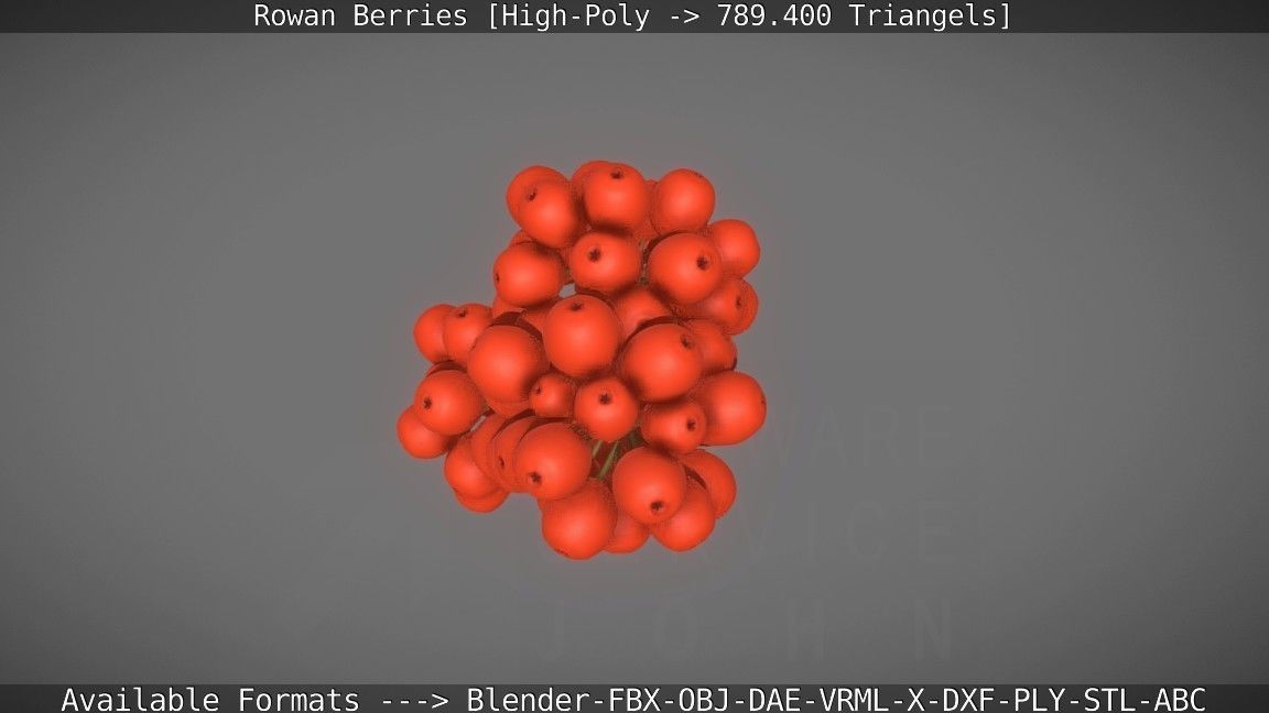 Rowan Berries High Poly 3D model_10