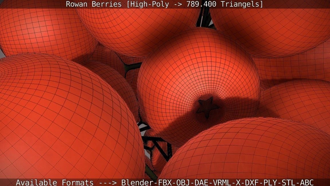 Rowan Berries High Poly 3D model_78
