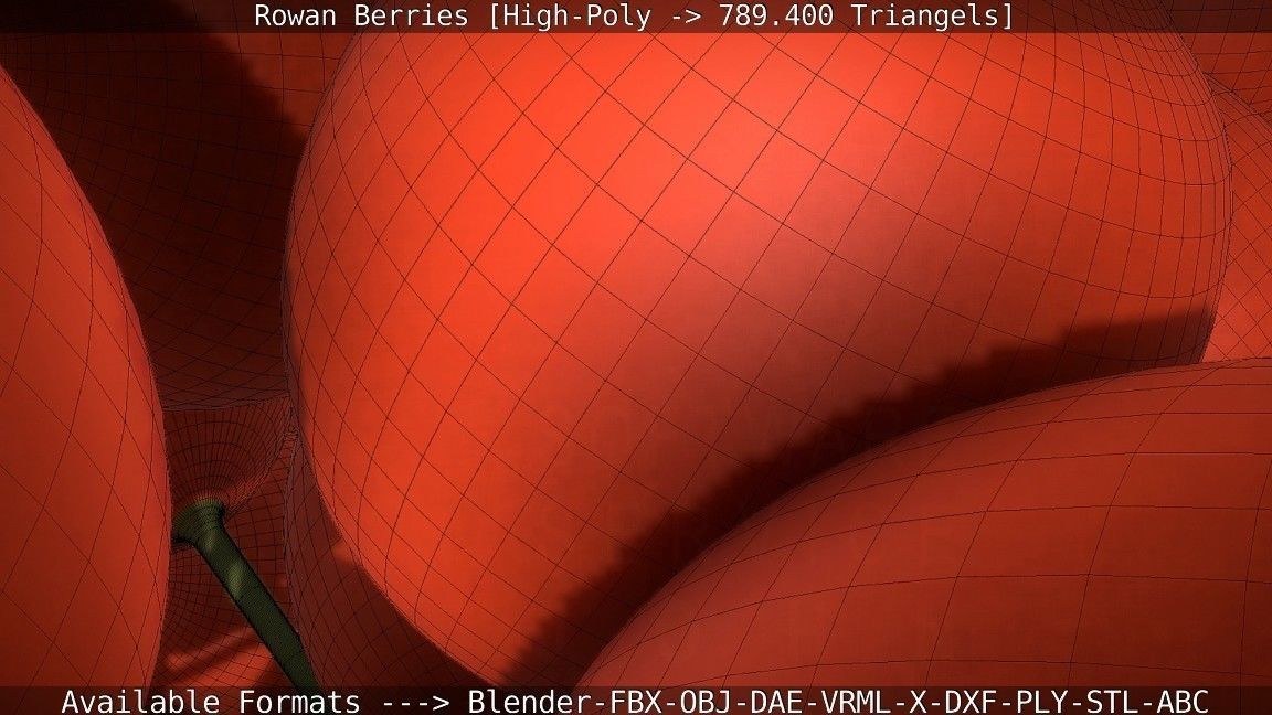 Rowan Berries High Poly 3D model_80