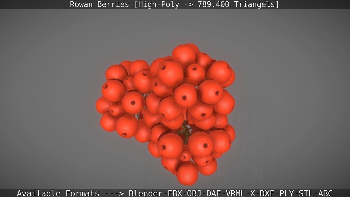 Rowan Berries High Poly 3D model_29
