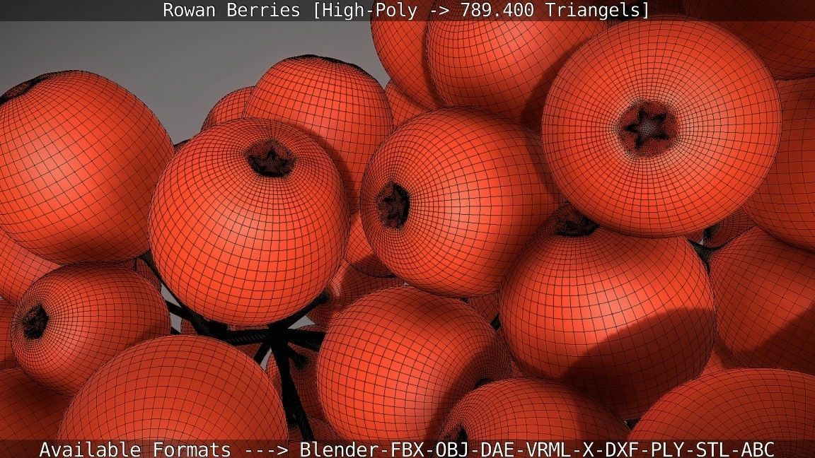 Rowan Berries High Poly 3D model_76