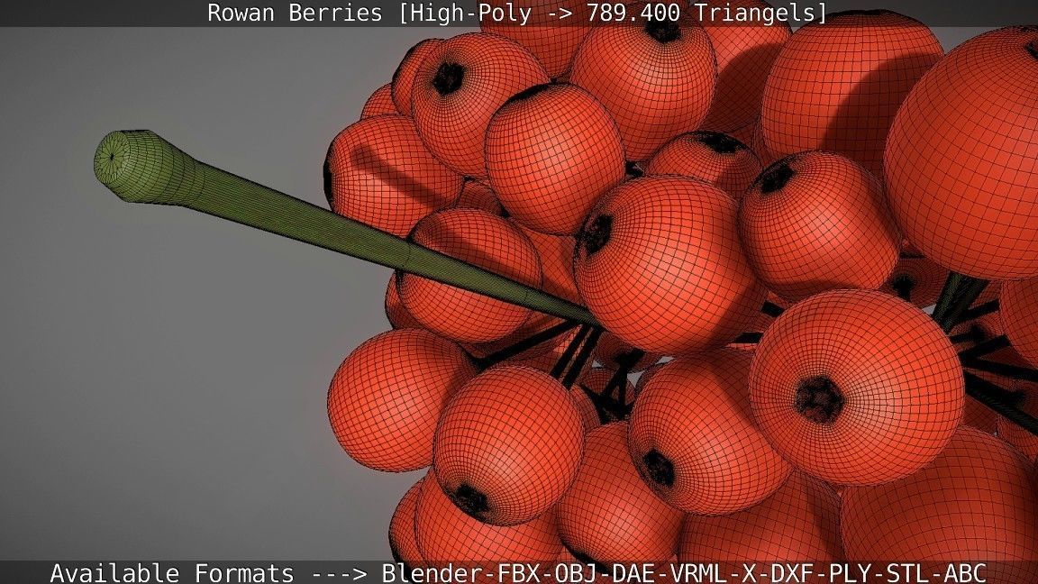 Rowan Berries High Poly 3D model_127