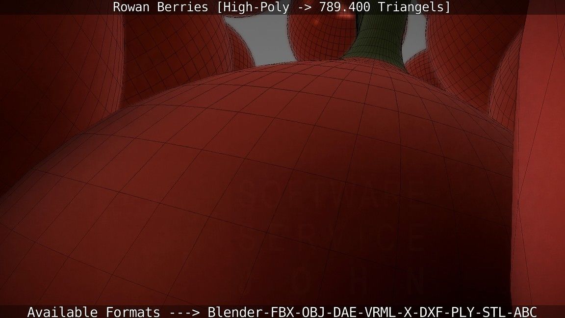 Rowan Berries High Poly 3D model_89