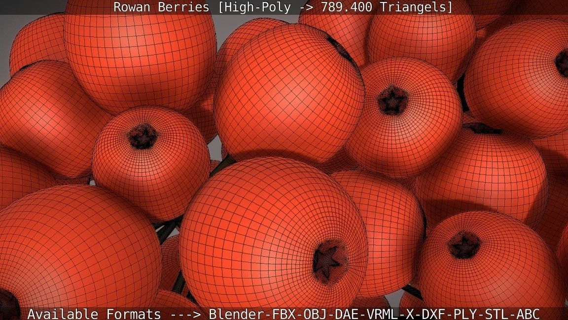 Rowan Berries High Poly 3D model_74