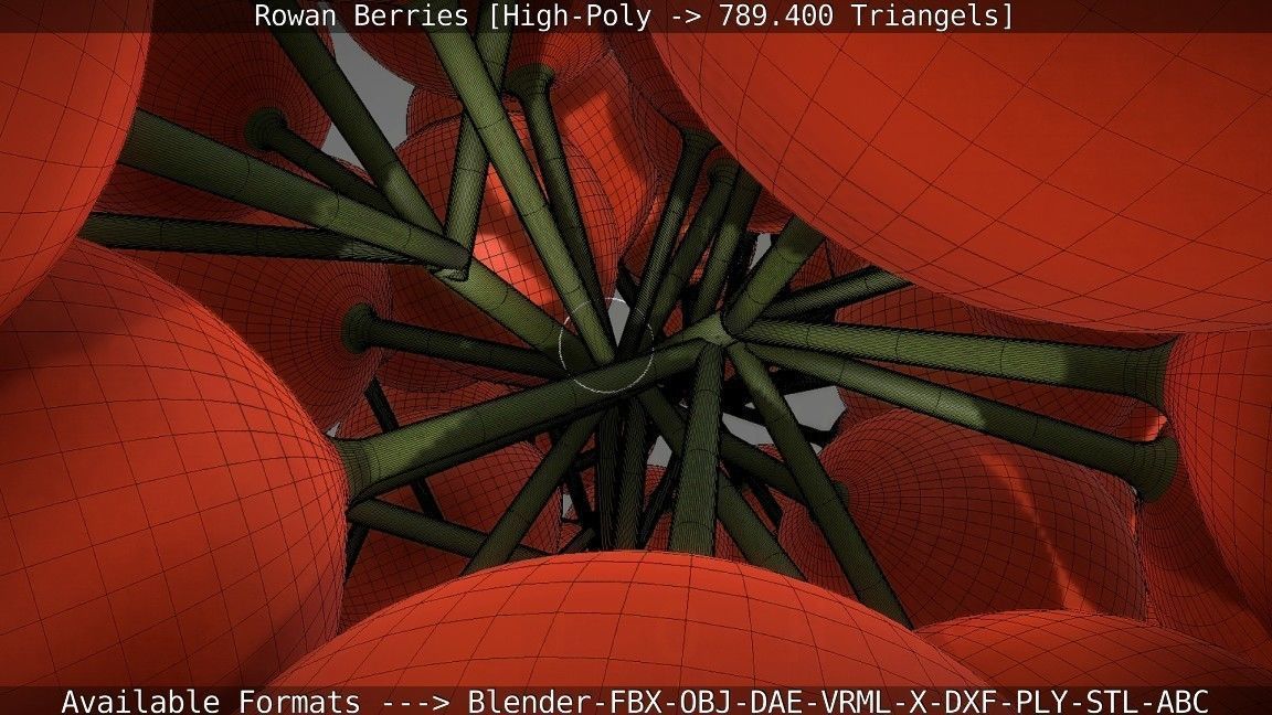 Rowan Berries High Poly 3D model_100