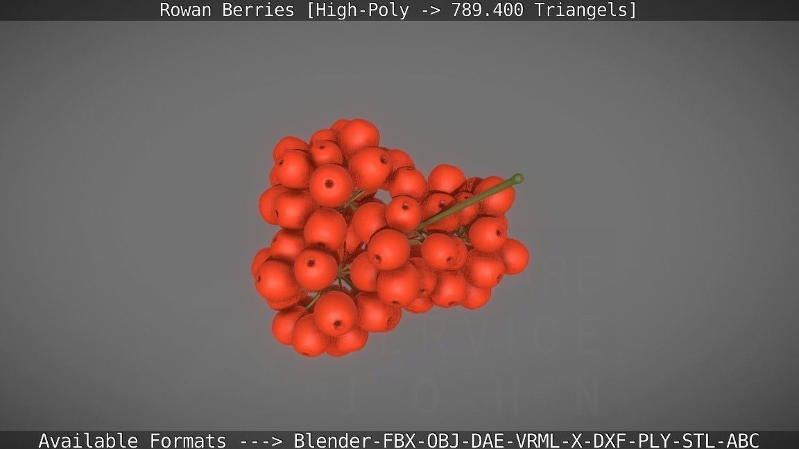Rowan Berries High Poly 3D model_16