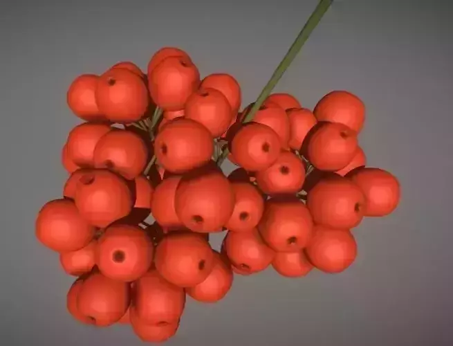 Rowan Berries High Poly