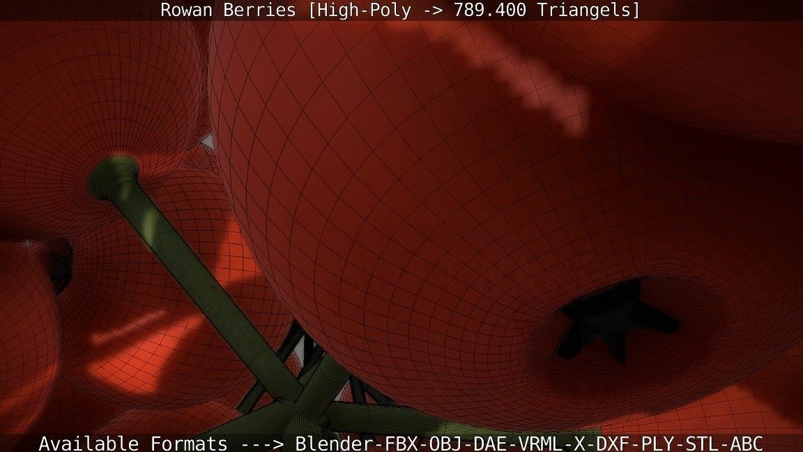 Rowan Berries High Poly 3D model_86