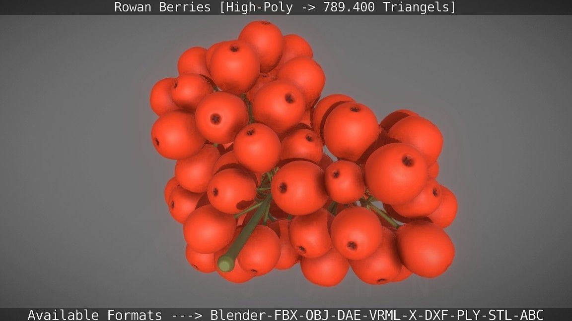 Rowan Berries High Poly 3D model_20