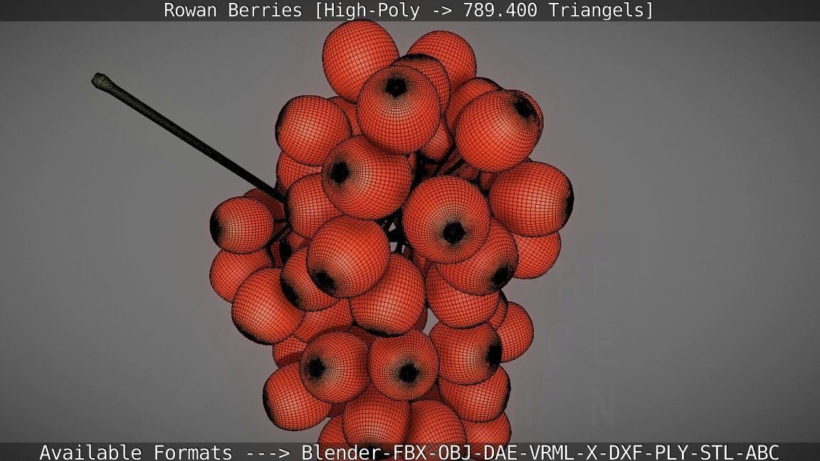 Rowan Berries High Poly 3D model_56
