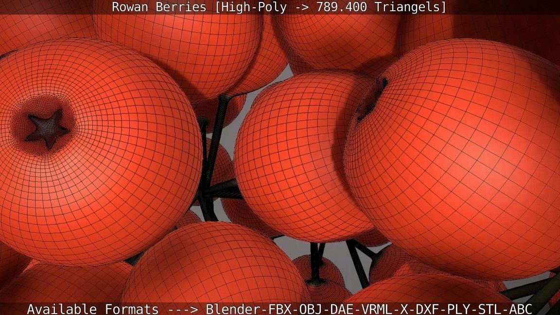 Rowan Berries High Poly 3D model_112