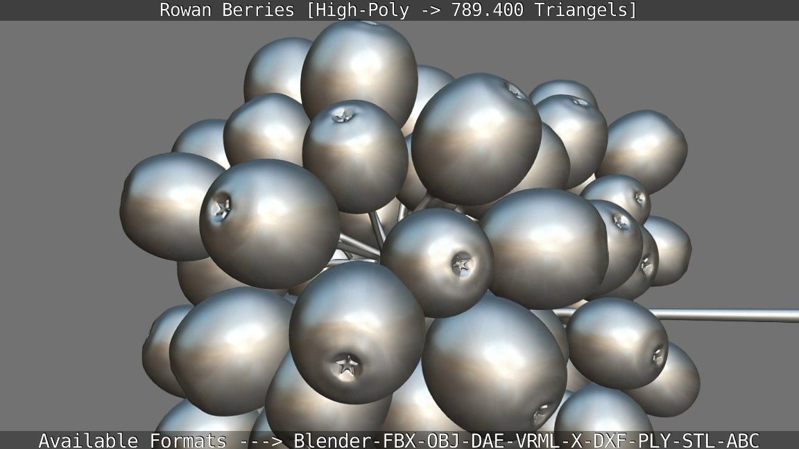Rowan Berries High Poly 3D model_137