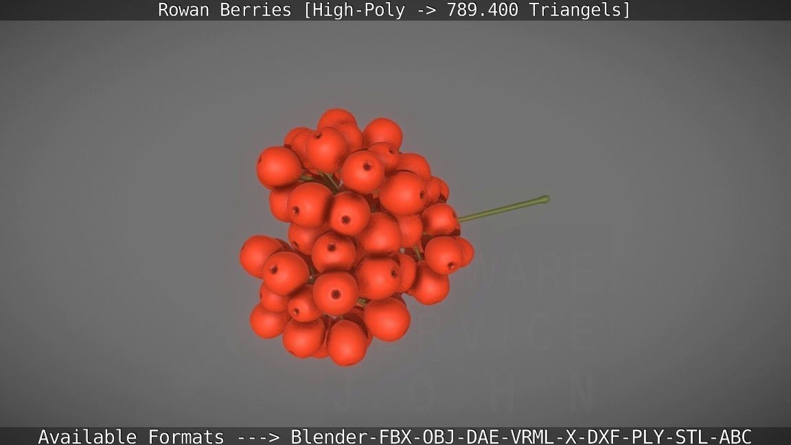 Rowan Berries High Poly 3D model_11