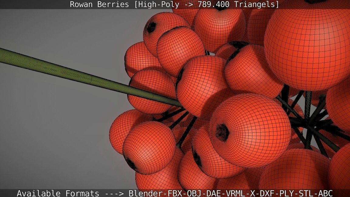 Rowan Berries High Poly 3D model_129