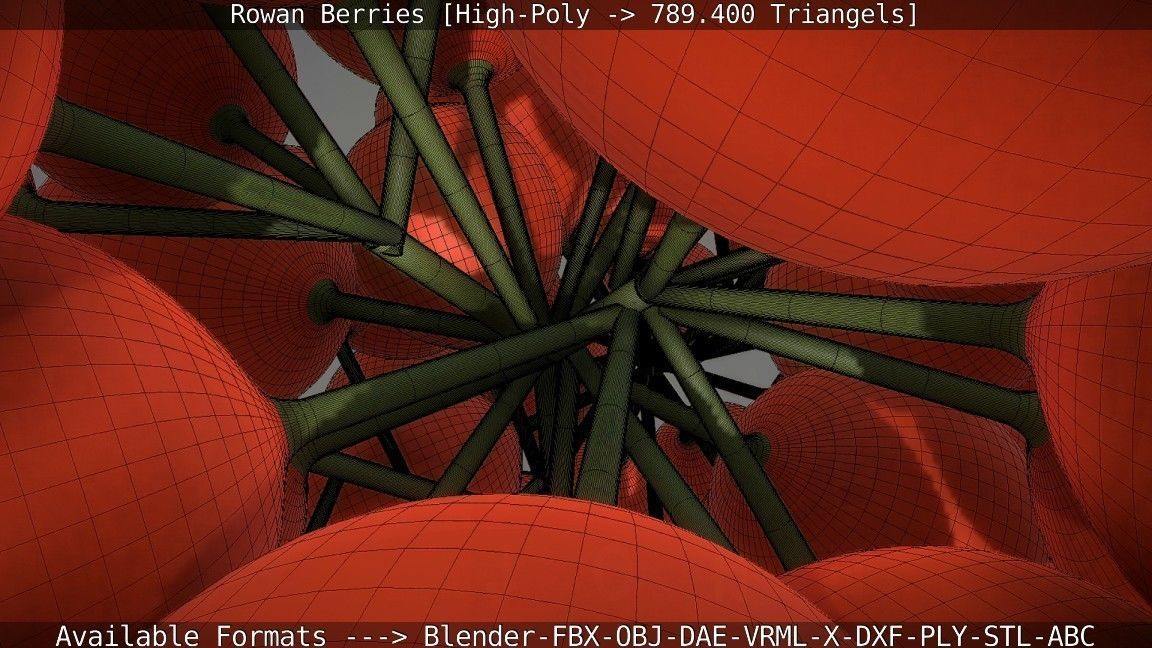 Rowan Berries High Poly 3D model_102