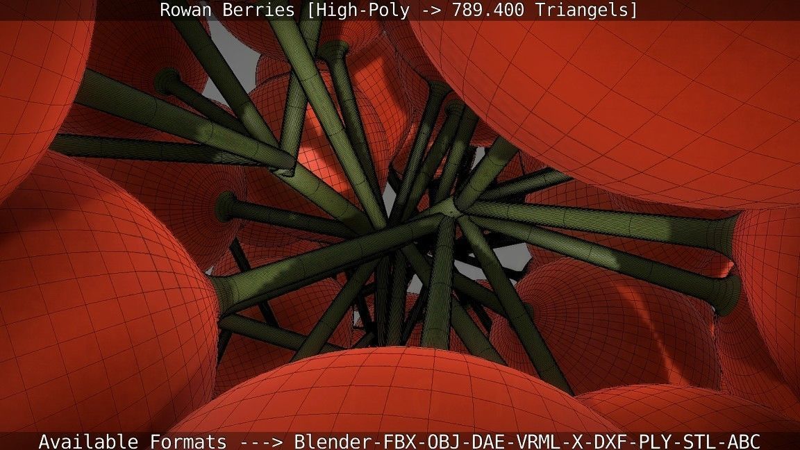 Rowan Berries High Poly 3D model_107