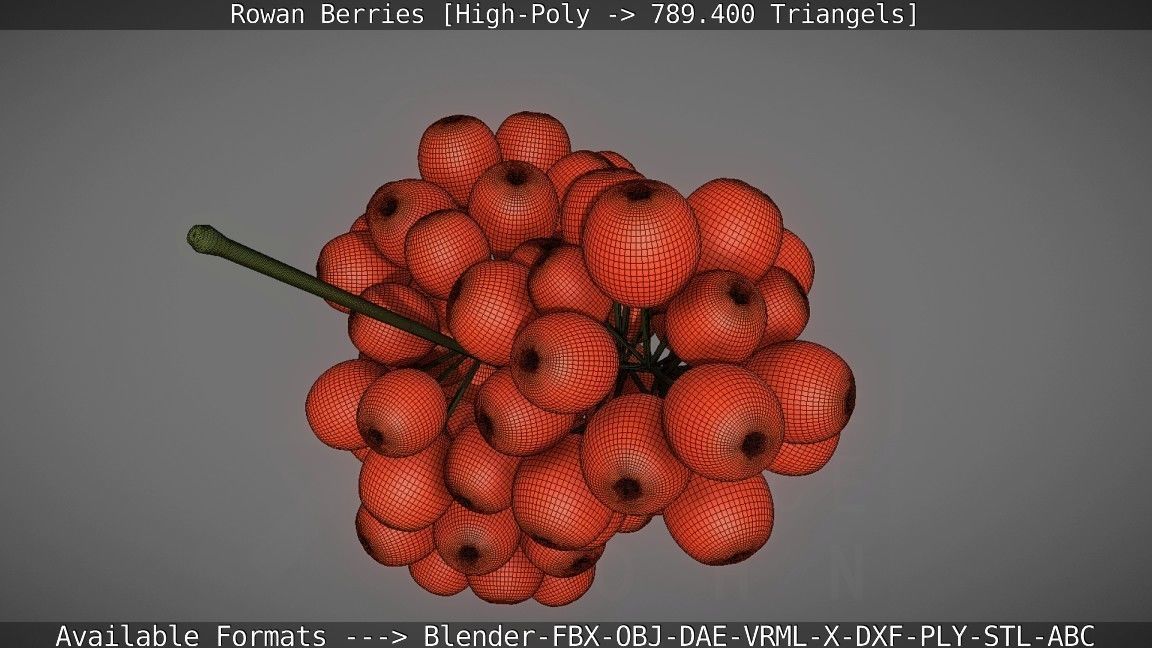 Rowan Berries High Poly 3D model_52