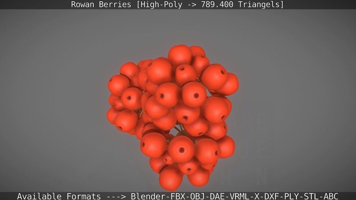 Rowan Berries High Poly 3D model_33
