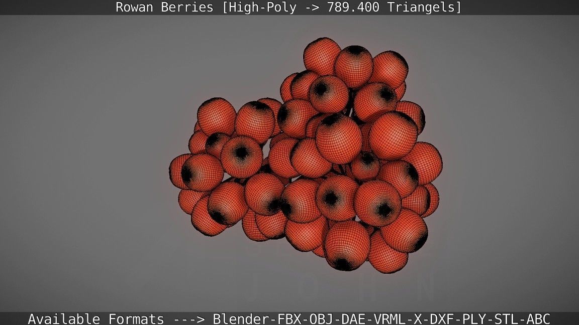 Rowan Berries High Poly 3D model_115