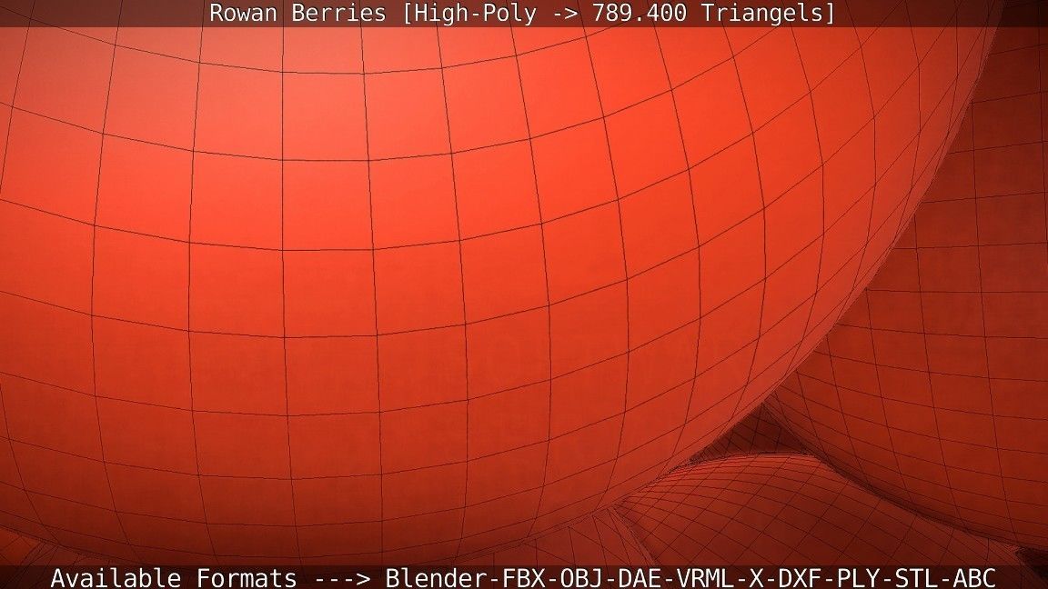 Rowan Berries High Poly 3D model_97