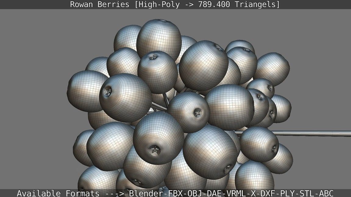 Rowan Berries High Poly 3D model_135