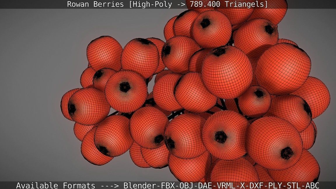 Rowan Berries High Poly 3D model_111