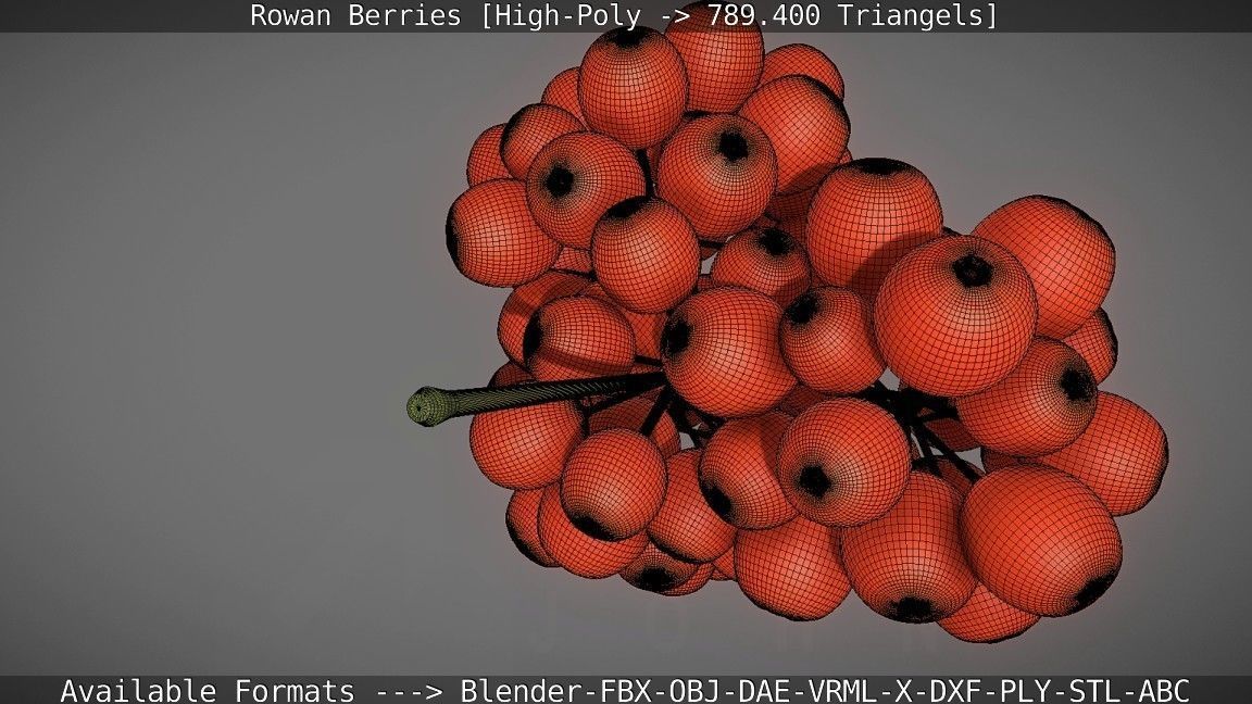Rowan Berries High Poly 3D model_125