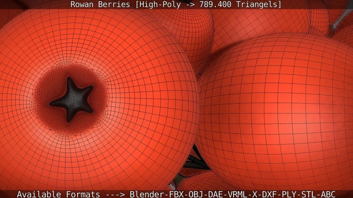 Rowan Berries High Poly 3D model_70