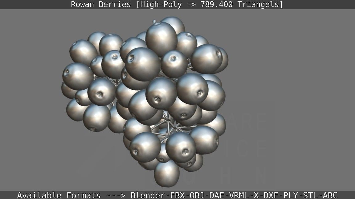 Rowan Berries High Poly 3D model_145