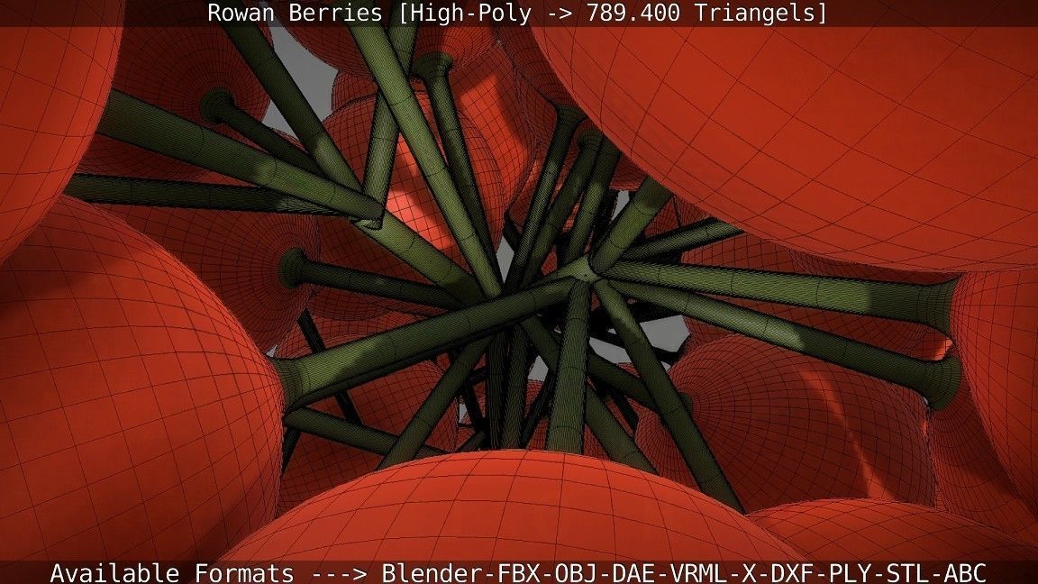 Rowan Berries High Poly 3D model_105