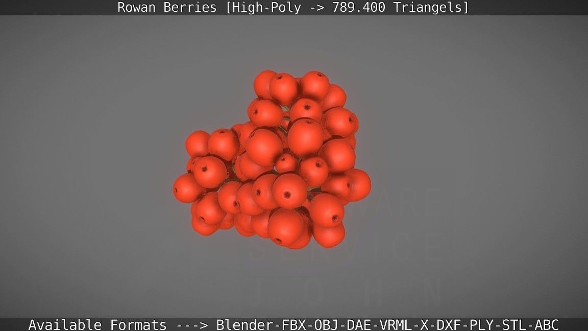 Rowan Berries High Poly 3D model_9