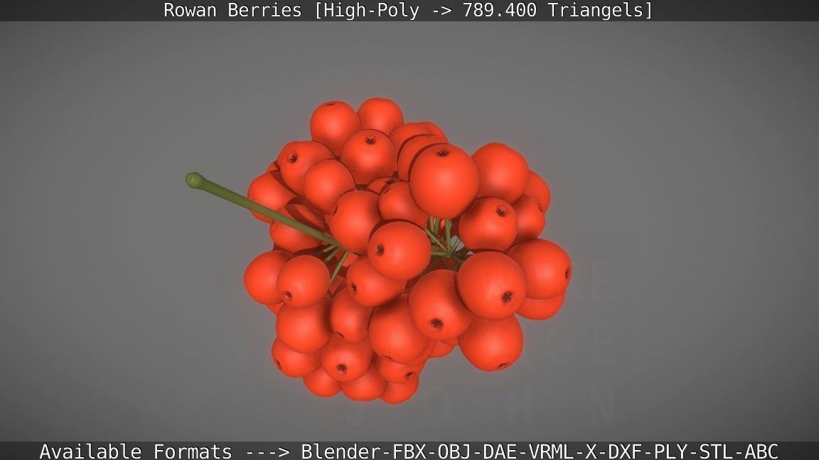 Rowan Berries High Poly 3D model_46