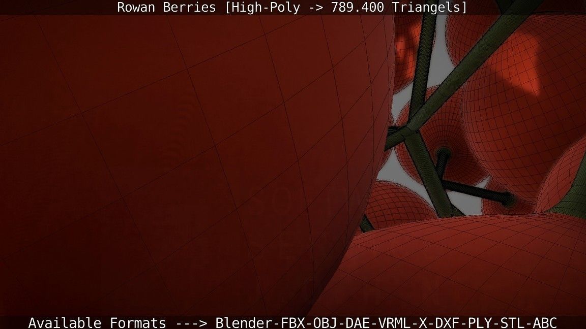 Rowan Berries High Poly 3D model_91