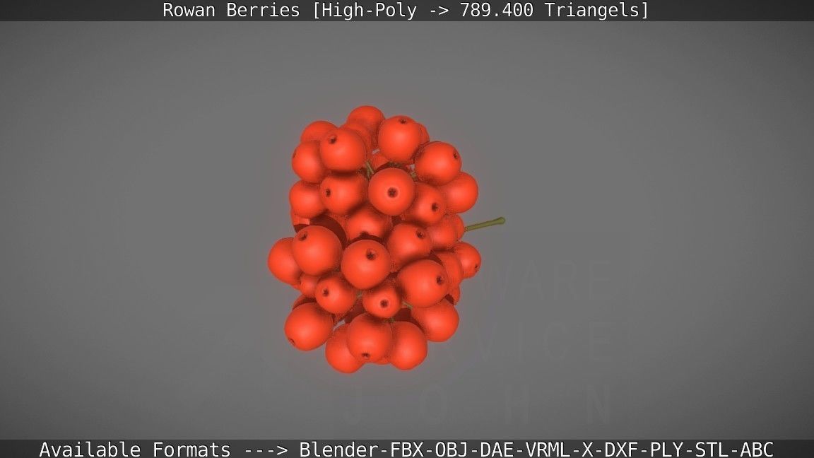 Rowan Berries High Poly 3D model_13
