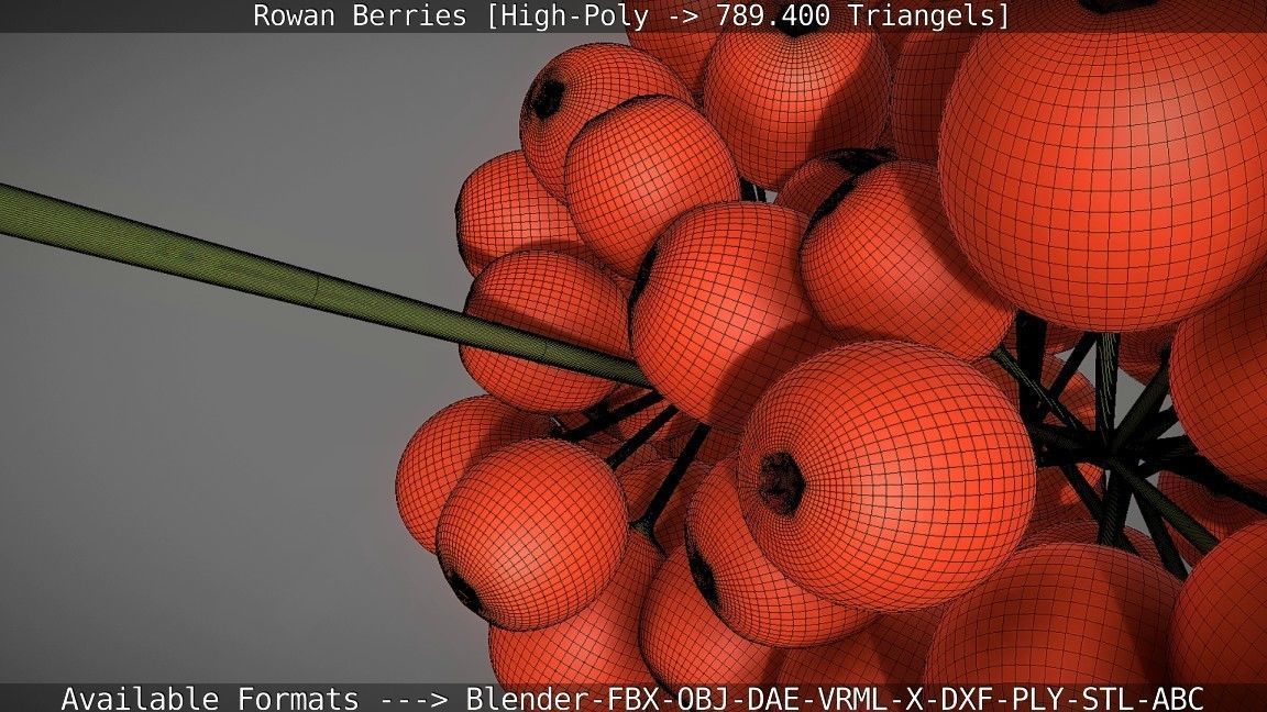 Rowan Berries High Poly 3D model_131