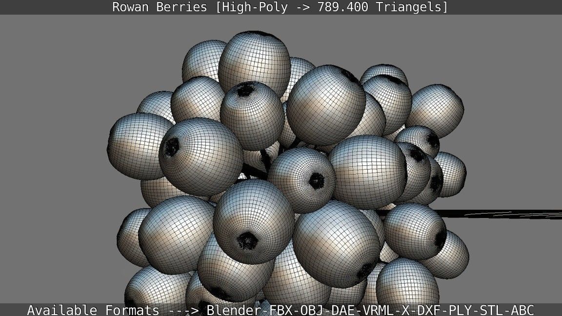 Rowan Berries High Poly 3D model_140