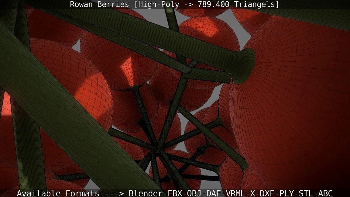 Rowan Berries High Poly 3D model_94